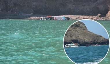 Black Cat cruise boat capsizes off Akaroa, dozens of passengers evacuated