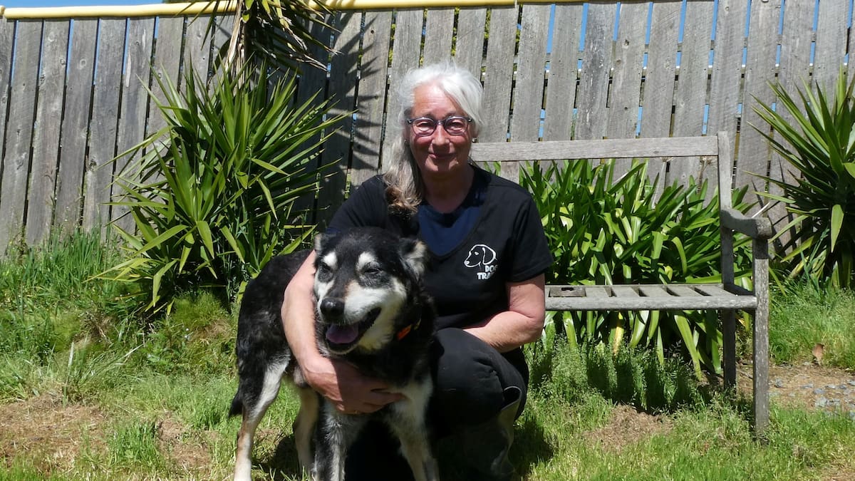 Whangārei woman starts hospice fund to care for senior rescue dogs