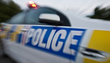 Police appeal for witnesses to come forward following alleged assault