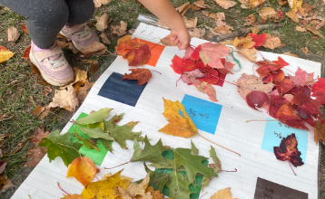 A student is kneeling down to reach a large color chart on the ground where they are comparing the color of leaves.