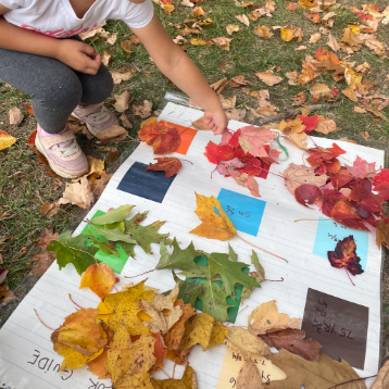 A student is kneeling down to reach a large color chart on the ground where they are comparing the color of leaves.
