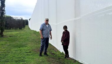 Bay of Plenty fire: Owner’s plea after Te Puna citrus tree nursery blaze