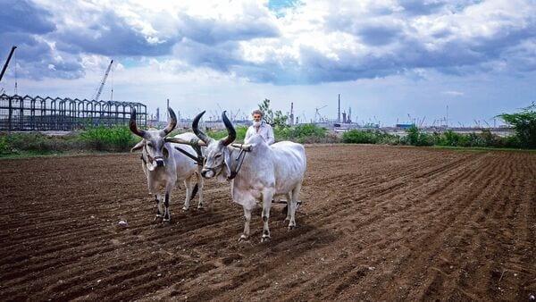 Mint Explainer  Why India Wants Farmers To Shift Crops-Without Touching MSP Or Procurement