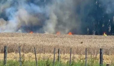 Pakipaki vegetation fire sparks evacuations as Hawke’s Bay heat rises