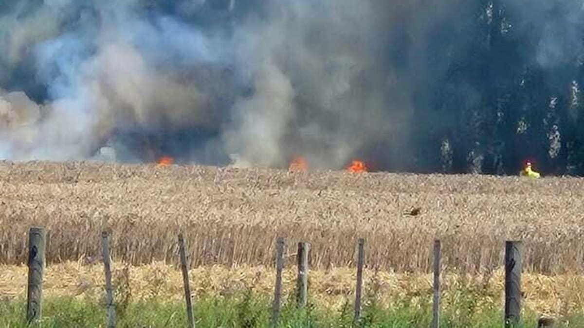 Pakipaki vegetation fire sparks evacuations as Hawke’s Bay heat rises