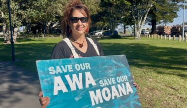 Gisborne environmental group urges council to stop ‘appeasing’ forestry