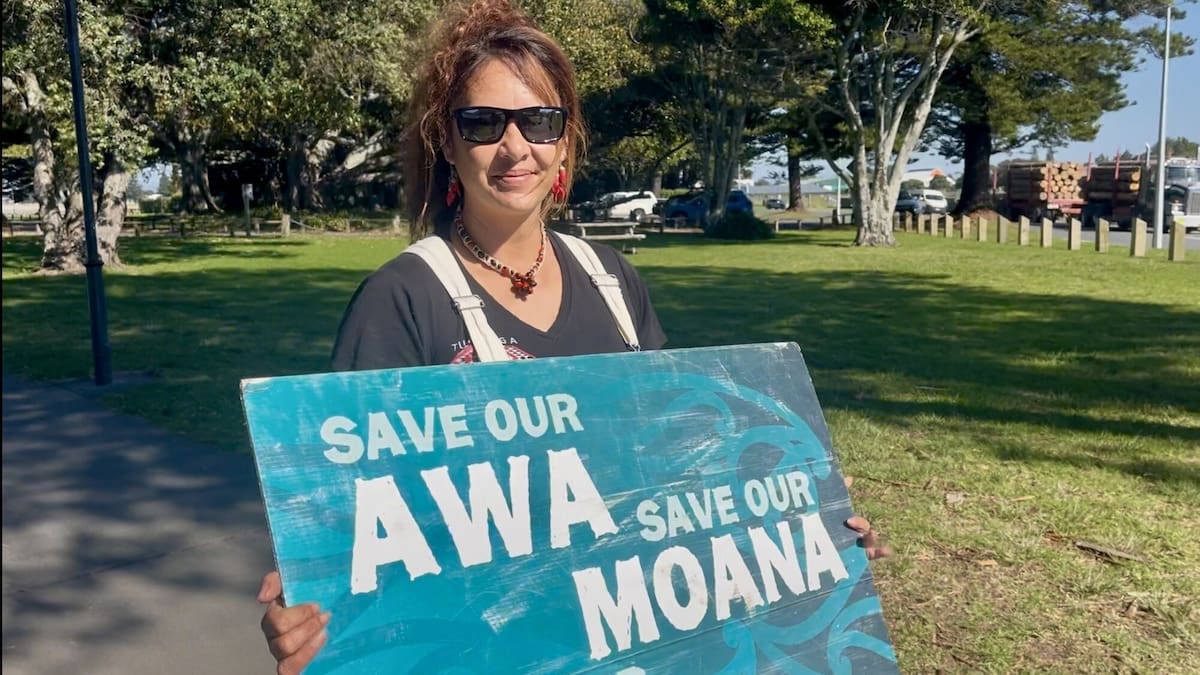 Gisborne environmental group urges council to stop ‘appeasing’ forestry