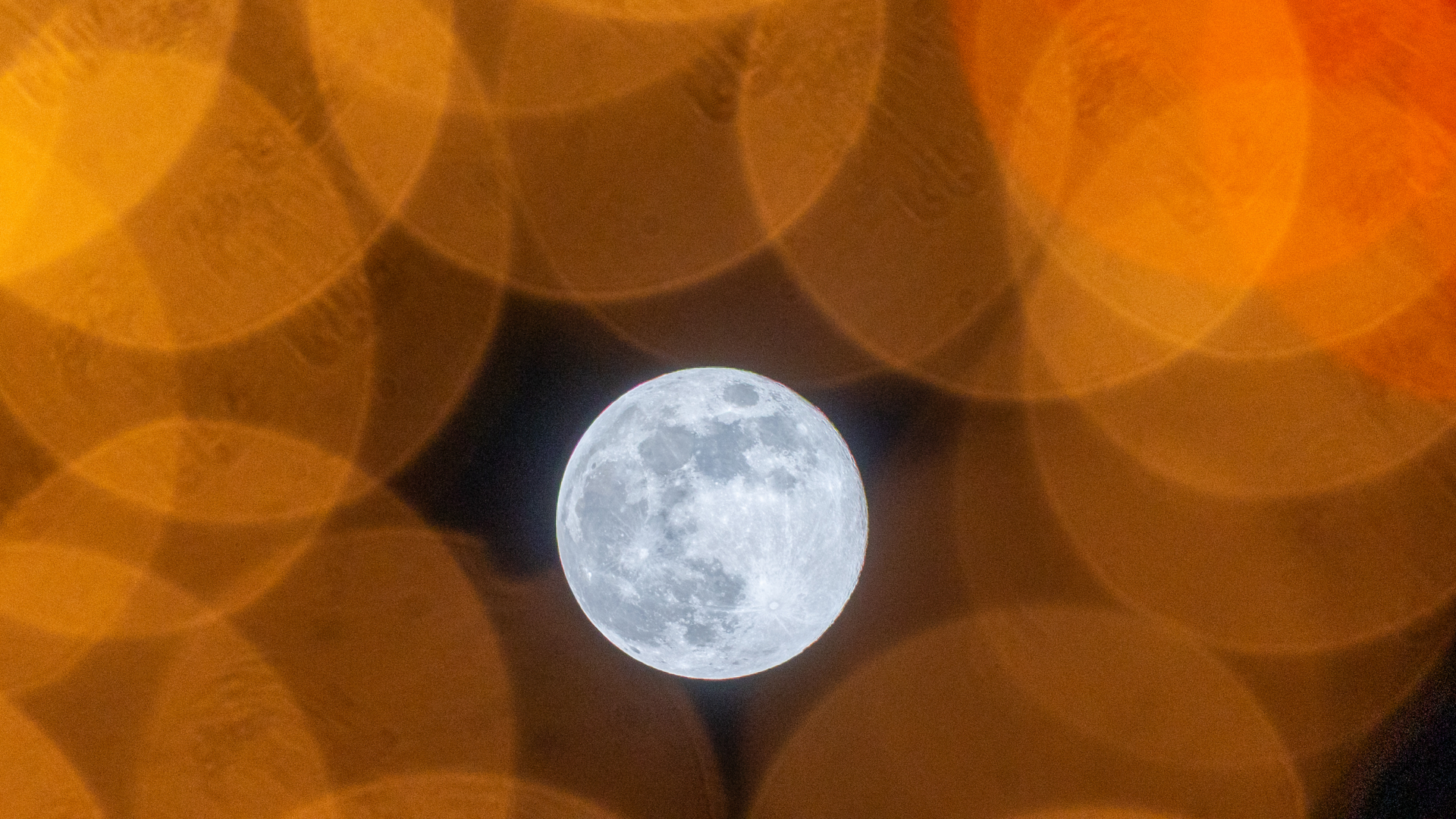 A full moon is pictured shining in a dark sky surrounded by yellow-orange sphere's created by out-of-focus Christmas lights in the foreground on the shot.