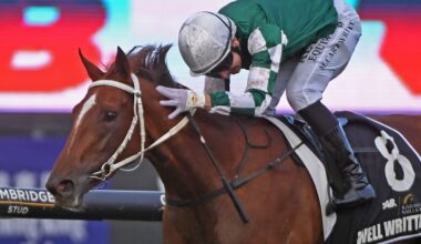 Karaka Millions: Well Written stays perfect to raise plenty of questions at Ellerslie