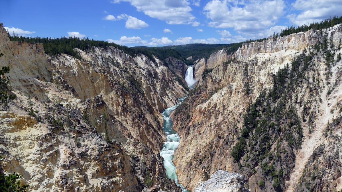 Herald afternoon quiz: January 14