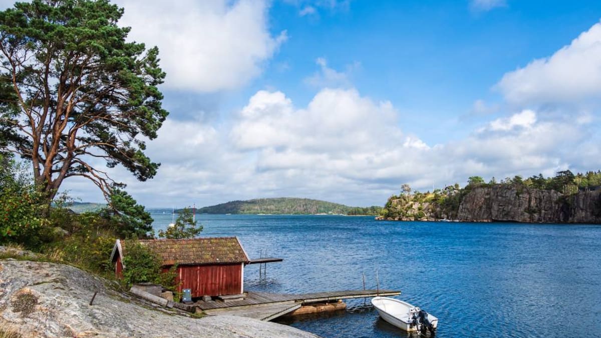 Herald afternoon quiz: January 8