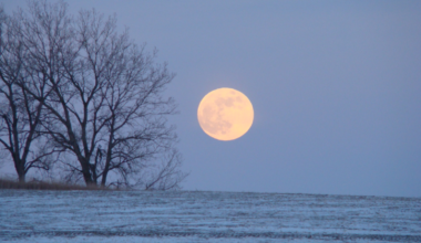 Photograph of a full moon.