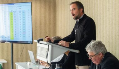 ‘Nostalgia isn’t a strategy’: Napier wool auctions to end as PGG Wrightson, Wools of NZ move to Christchurch