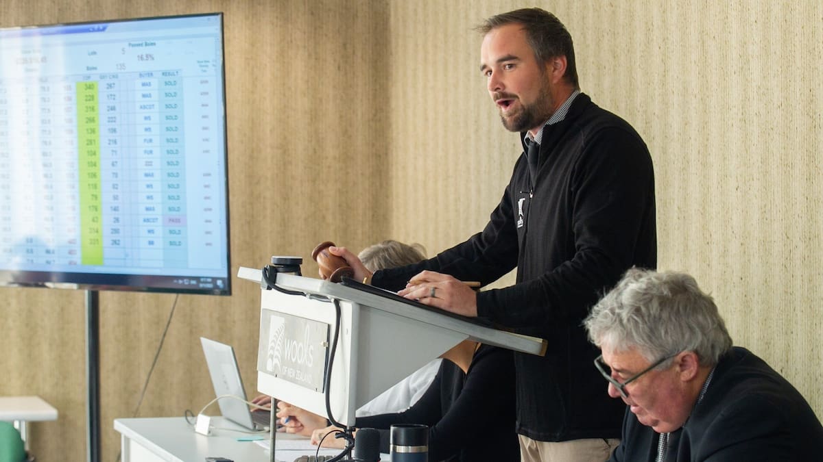 ‘Nostalgia isn’t a strategy’: Napier wool auctions to end as PGG Wrightson, Wools of NZ move to Christchurch