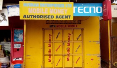 Was shutdown of mobile money a mistake?
