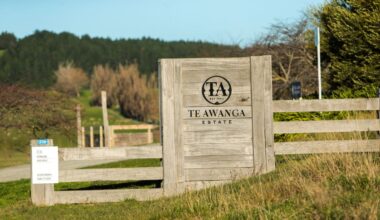 Te Awanga Estate collapses as Te Awanga Wine Festival to end this year