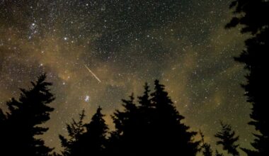 Meteor showers 2026: The best nights to see shooting stars