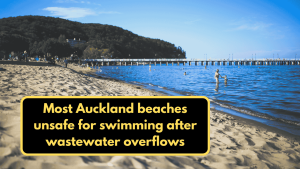 Most Auckland Beaches Unsafe for Swimming After Wastewater Overflows