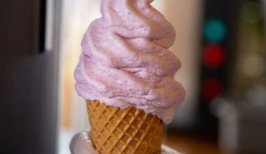 The Rise Of Real Fruit Ice Cream in New Zealand: Where Does It Come From?