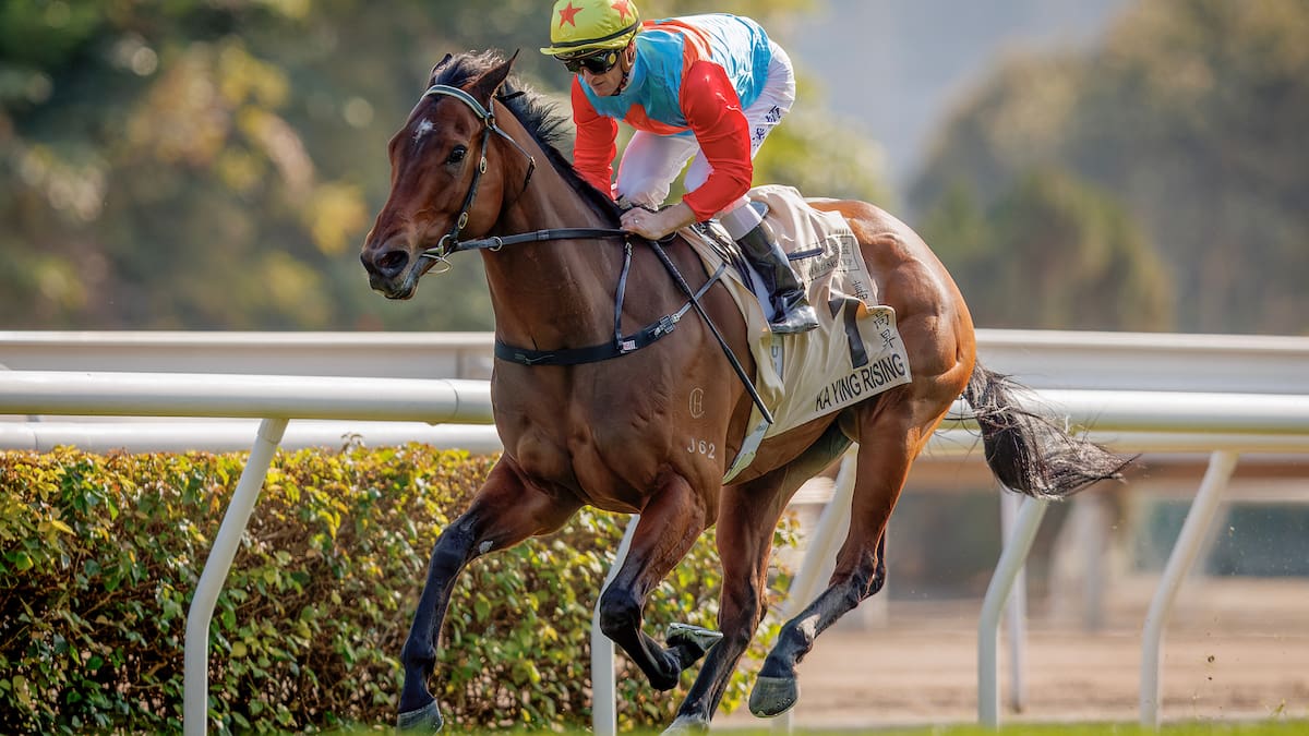 World’s fastest racehorse perfect poster boy for historic Karaka sale