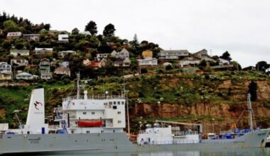 New Zealand upholds cabotage in decision welcomed by ITF