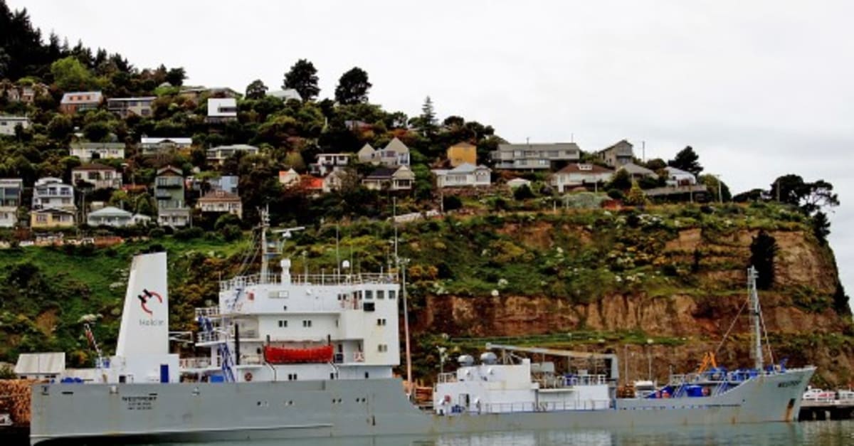 New Zealand upholds cabotage in decision welcomed by ITF