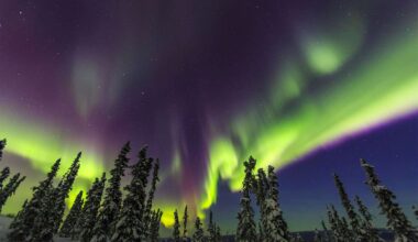 How to Watch the Northern Lights for a Second Time This Week