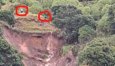 Mount Maunganui landslide: Photo shows walkers standing precariously above slip – nearly two hours after 111 call to report it