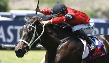 How to tackle the TAB bookies at the Karaka Millions meeting