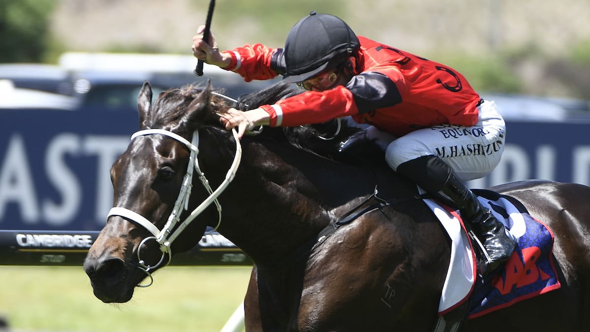 How to tackle the TAB bookies at the Karaka Millions meeting