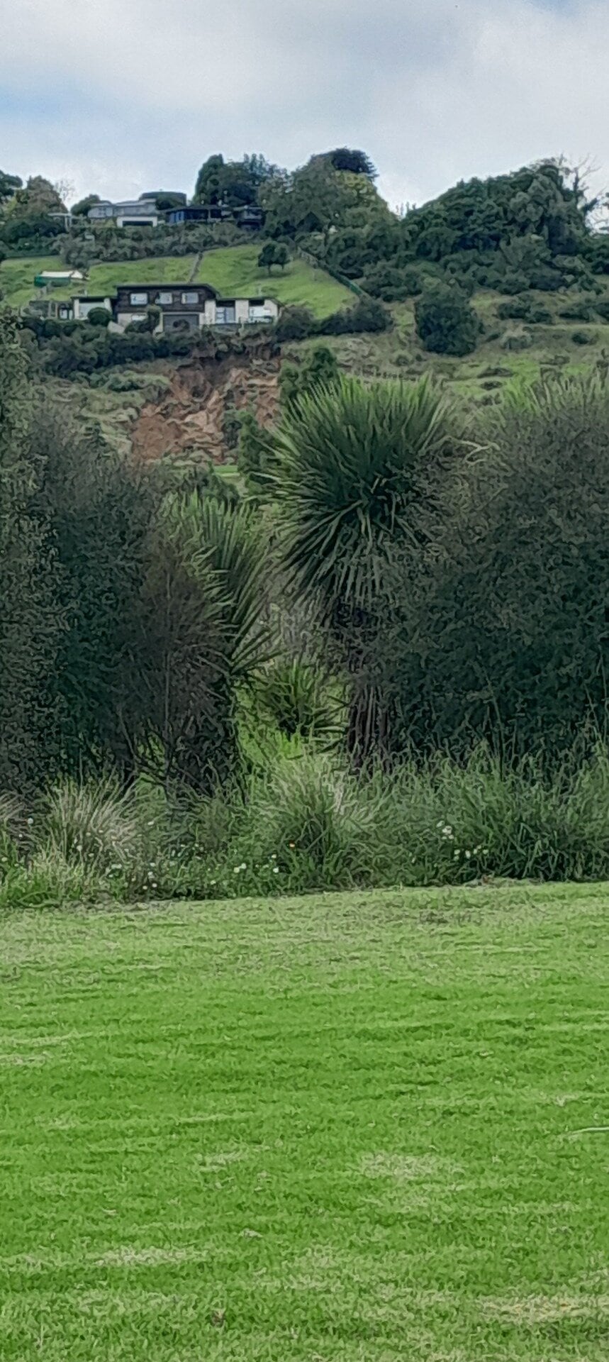 A photo taken yesterday from Carmichael Reserve Playground shows the slip in Bethlehem.