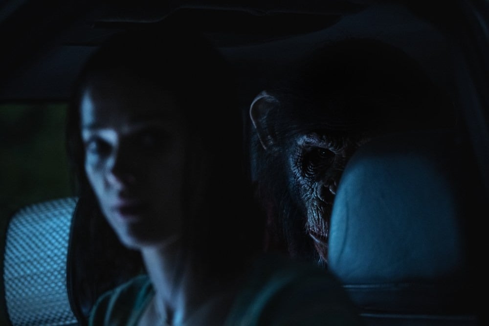 ‘Primate’ Goes Ape at the Box Office; ‘Anaconda’ Snakes Past $100M - Dread Central