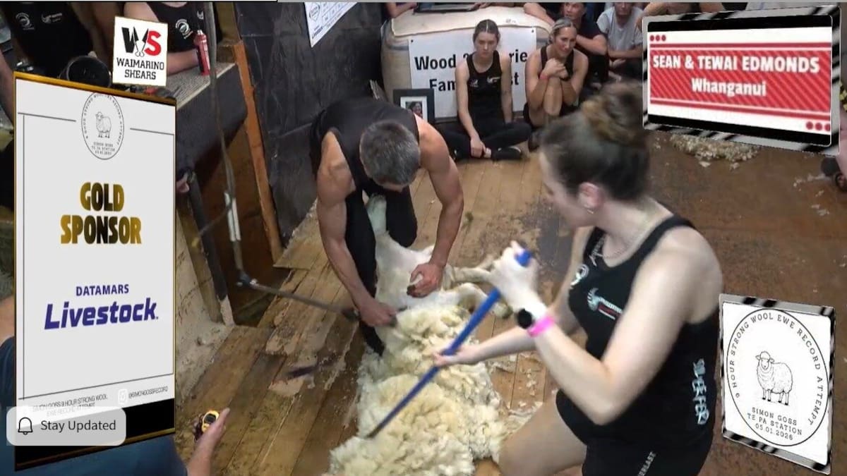 Central North Island shearer Simon Goss claims solo world record