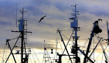 Maritime NZ case: Sealord and skipper fined over fatal medical neglect at sea