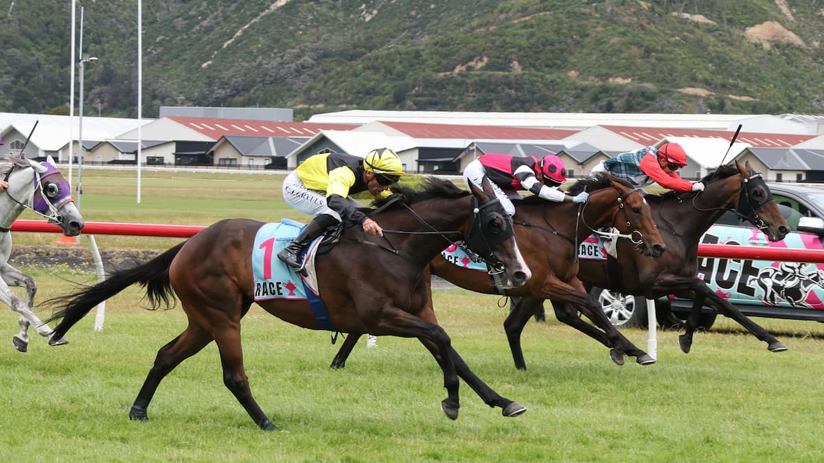 Craig Grylls the big cat of the jockeys’ ranks as rich carnivals loom