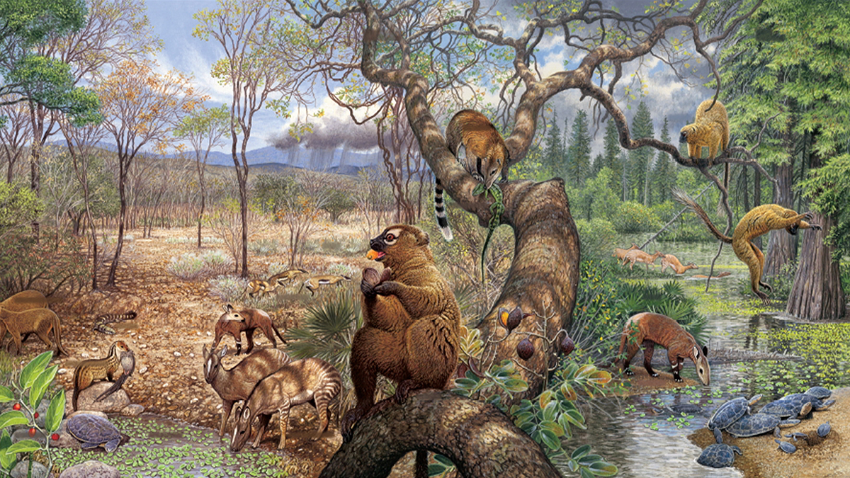 What past global warming reveals about future rainfall – @theU