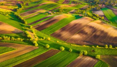 Birds eye view of agricultural land.