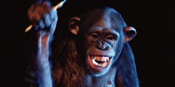 Inga the Chimp attacks with a blade in Phenomena.