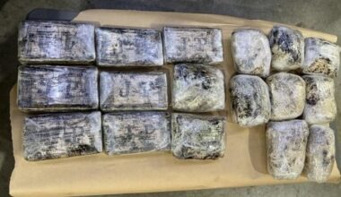 Port of Tauranga: 18kg cocaine and meth bust adds to record haul