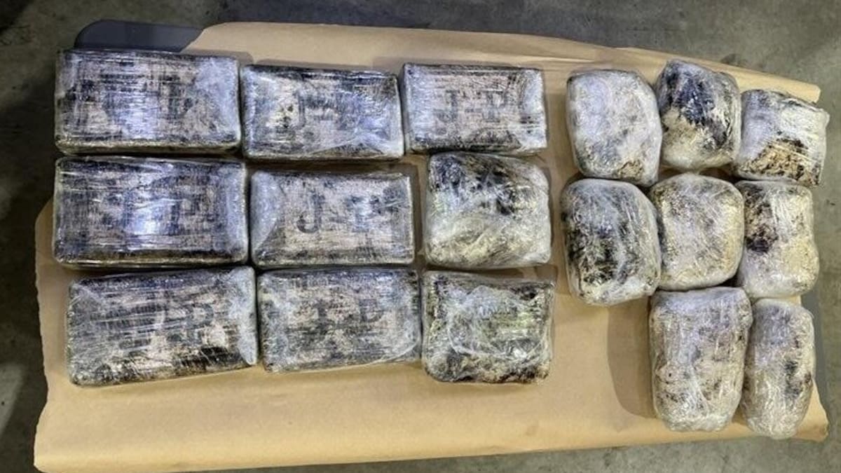 Port of Tauranga: 18kg cocaine and meth bust adds to record haul