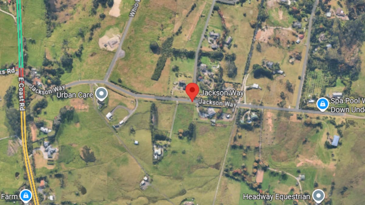 One person in serious condition after truck hits wall in Stillwater, Auckland