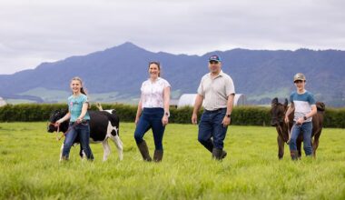 Friesian genetics focus helps Te Poi couple cut cow numbers, lift returns