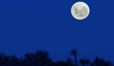 A guide to the southern sky in 2026