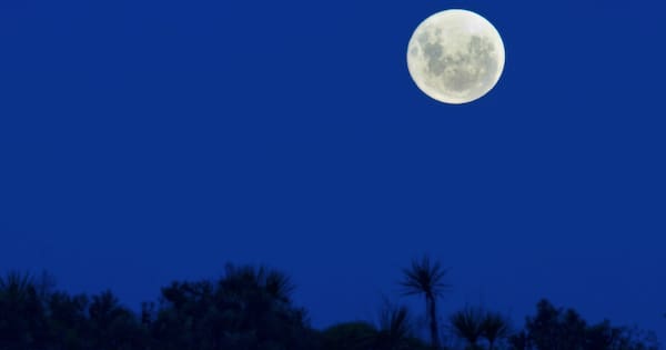 A guide to the southern sky in 2026