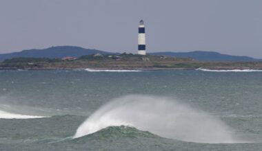 Herald morning quiz: February 1