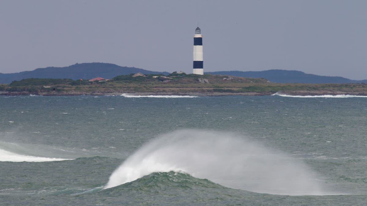 Herald morning quiz: February 1