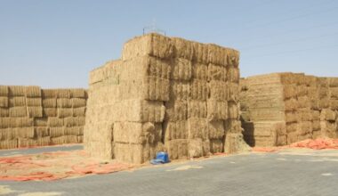 straw bales