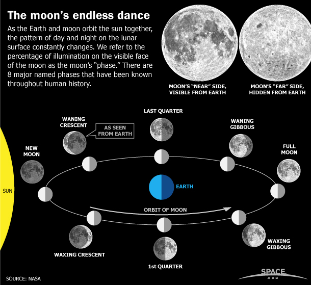See the moon phases, and the difference between a waxing and waning crescent or gibbous moon, in this Space.com infographic about the lunar cycle each month. <a href=http://www.space.com/62-earths-moon-phases-monthly-lunar-cycles-infographic.html>See the full infographic</a>.