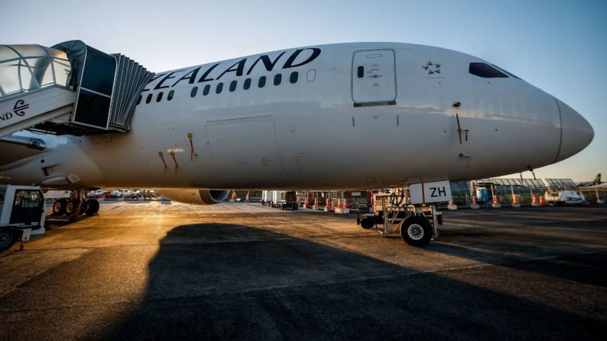 Air New Zealand New Year sale: Discounted flights for domestic, international travel