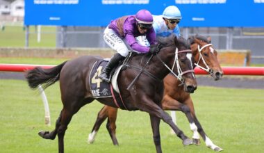 Horse racing: University mates chase Ellerslie dream with $20,000 purchase